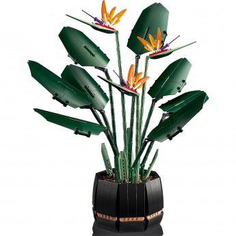 Конструктор LEGO BOTANICAL COLLECTION «РАЙСКАЯ ПТИЦА» Коллекционные наборы 10289 Конструктор LEGO BOTANICAL COLLECTION «РАЙСКАЯ ПТИЦА» Коллекционные наборы 10289